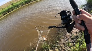 УДАЧНАЯ РЫБАЛКА НА САЗАНА, ОНИ КЛЕВАЛИ НА РАССВЕТЕ... by Fishing-Life TV 38,126 views 9 months ago 15 minutes