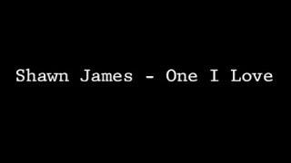 Miniatura del video "Shawn James -  One I Love Lyrics"