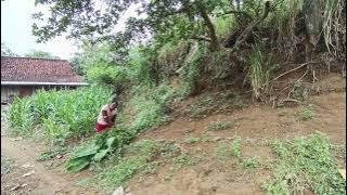  kehidupan unik tersembunyi suku Jawa pedalaman jawa tengah 