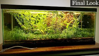 A Final Look at the 20 Gallon Planted Aquarium (No Filter) by Aquarium Plant Lab 7,960 views 1 year ago 3 minutes, 53 seconds