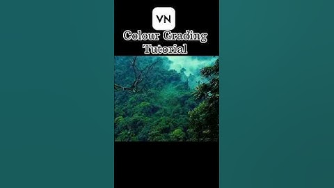 Colour Grading 🎨Tutorial  With VN Video Editor 📹 || #shorts #editing #vnvideoeditor