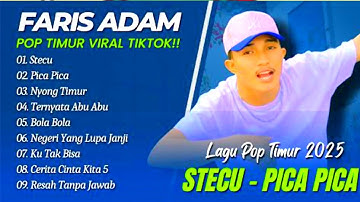 Faris Adam - STECU | Juan Reza - PICA PICA | NYONG TIMUR || LAGU POP TIMUR VIRAL TIKTOK 2025