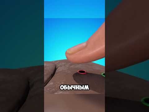 Чайник с двойным дном @NolasStudio