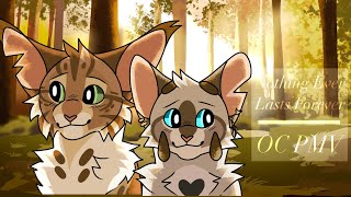 Nothing ever lasts forever | OC PMV