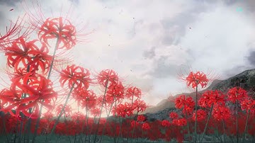 Sword Art Online: Alicization Lycoris - Now Loading