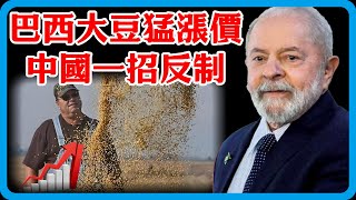 趁火打劫！巴西大豆對華猛漲價，中國買家集體停購，靜待2個時機，巴民崩潰倒數！#竇文濤 #圓桌派 #中美關係 #特朗普 #紀實 #經濟 #歷史 #聊天 #推薦 #熱門