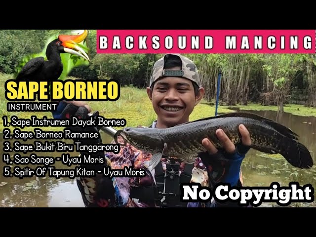 Backsound Mancing No Copyright - Sape Borneo Instrument Yang Dicari Youtuber Mancing class=