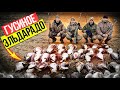 Охота на гуся 2022. Охота на гуся в Беларуси 9.04.22