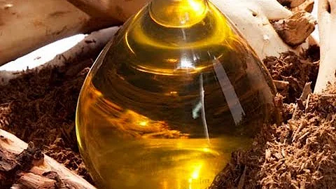 Эфирное масло сандала Свойства и применение