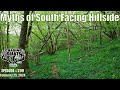 Chasing giants 209  myths about south facing hillsides