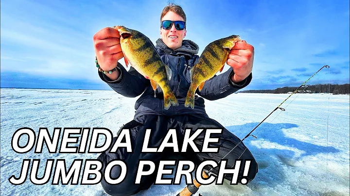 Oneida Lake Perch Ice Fishing: The Right Gear For Success