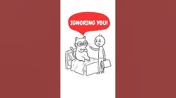 Why Your Cat Ignores You After You Come Home (It’s Not Hate, It’s Science!)