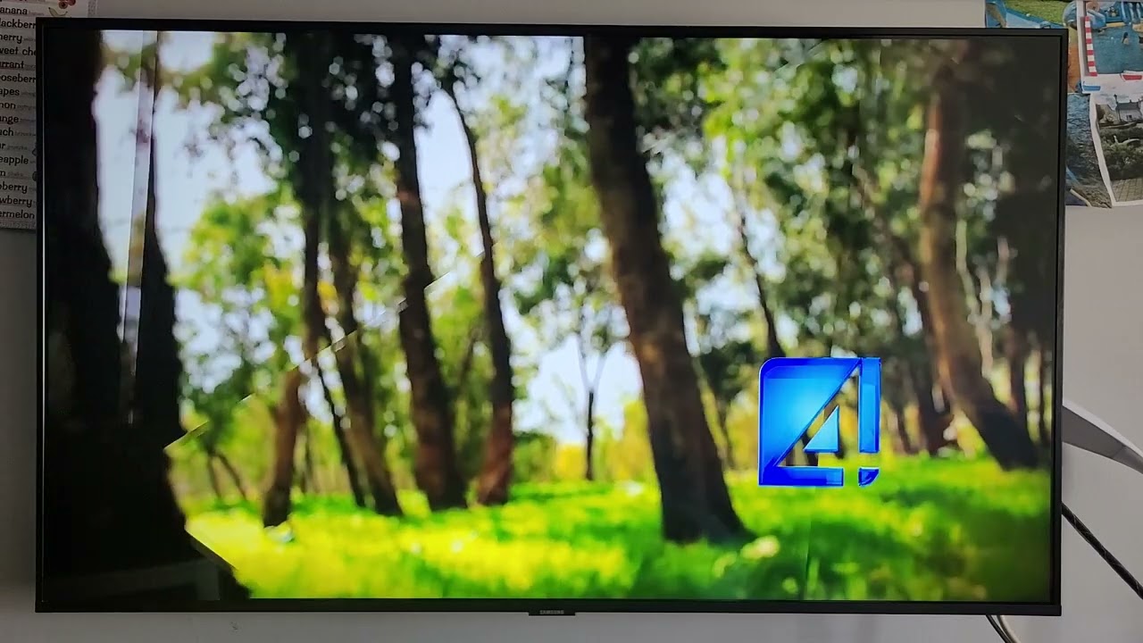 TV4 - Zakończenie programu (Przerwa Techniczna) (25/26.11.2021)