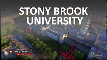 Does Stony Brook have a good business program?