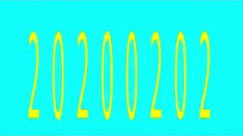 Palindrome Day 20200202