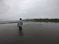 mira como este hombre atrapa enormes tilapias  en laguna