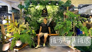 2023 植方市集 華山文創園區 買到家裡變森林XD! 帶著植物去旅行～ 沙叔帶你逛植展系列