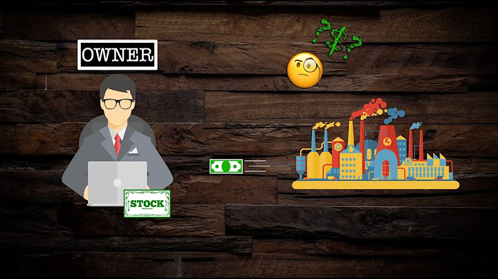 What Determines the Price of a Stock