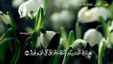 سورة الملك الشيخ احمد خليل شاهين سبحان الذي اعطاه هذا الصوت الجميل
