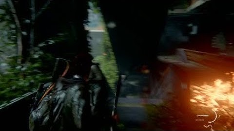 The Last of Us™ Part 2. Molotov