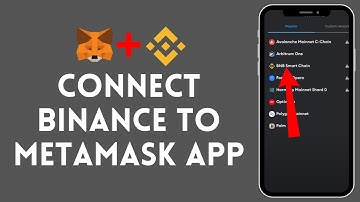 How to Connect Binance to Metamask (2024)