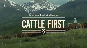 Cattle First. 15-Second Trailer