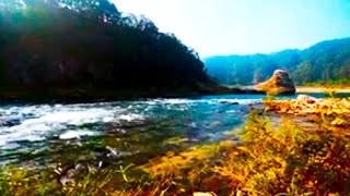 Gentle sounds of a mountain river with the singing of forest birds. 1 Hour of 4K video