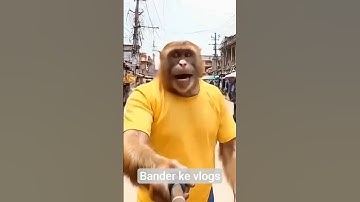 Baba bunty 1st Vlog || Ai monkey Vlog || I Will go to the Mall || ai monkey shorts