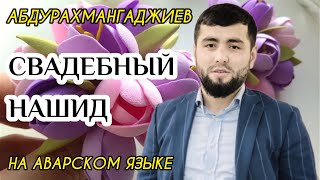 Абдурахман Гаджиев новый СВАДЕБНЫЙ НАШИД на аварском языке 👩‍❤️‍💋‍👨❤️