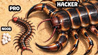Growing in THE BIGGEST Centipede...