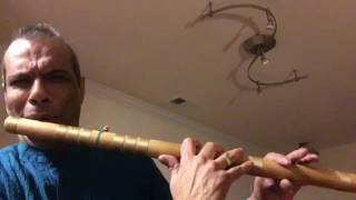 lesson 8 Phrases in Raga Sarasvati