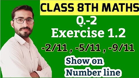 Q.2 - Ex -1.2 Class 8th Maths|Rational Number | Represent -2/11 ,-5/11 , -9/11 on the number line |