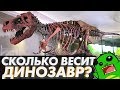 🦖Измеряем ТИРАННОЗАВРА - Самый большой динозавр? | Сью | Ученые не скрывают?😱😱😱