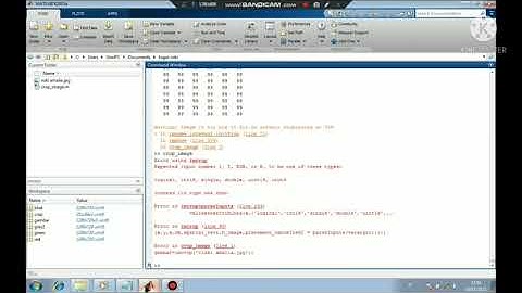 Rizki Amalia_Praktikum Pengolahan Citra IK-P6 Membuat Crop Image Menggunakan Matlab.