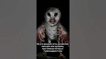 Кто такой Сова Гуманоид? | Humanoid Owl | Страшилки #shorts