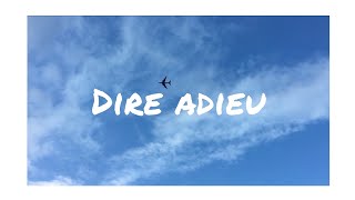 Dire Adieu (Jonathan Desclin) screenshot 4