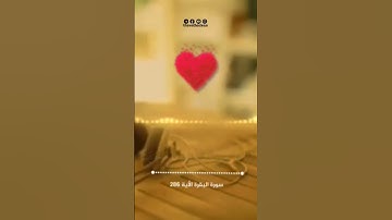 لا يكلف الله نفسا إلا وسعها | حالات واتس دينية | سورة البقرة