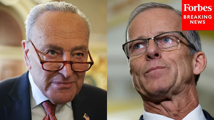 John Thune Loves To Troll 'Not At All Hypocritical' Democrats | 2025 Rewind