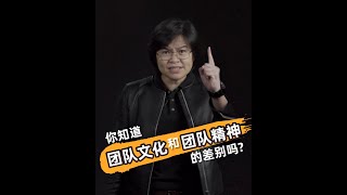 团队精神vs团队文化 有什么差别?