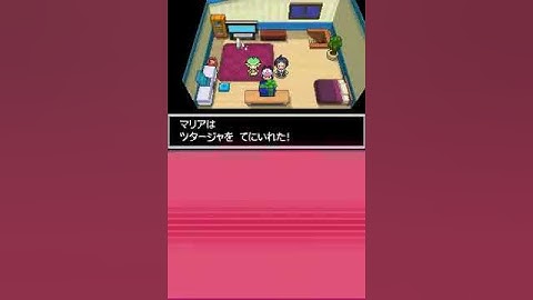 Pokemon White - Action Replay Codes in Effect