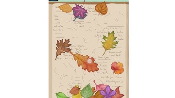 Satistory Tidy Up Level 172. Walkthrough Gameplay