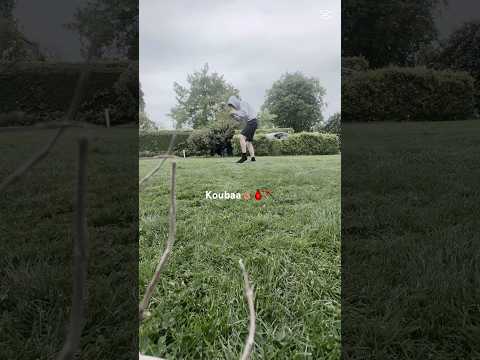 Mma Koubaa Mohamed Baghdad Fighter Mimoun Fyp God Muaythai K1 Boxing