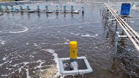 Giới thiệu đề tài luận văn IOT thiết bị quan trắc môi trường nước trong ao nuôi tôm | Đam Mê Điện Tử