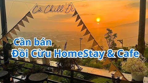 #260 Địa điểm săn mây cực chill. Cách trung tâm Tp. Bảo Lộc chỉ 5km. Đồi Cừu HomeStay và Cafe.