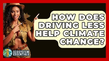 How Does Driving Less Help Climate Change? - Ecosystem Essentials