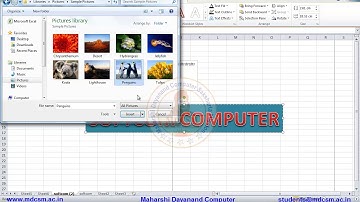 MS Excel - Hyperlink, Text box, Header  Footer, Word Art, Signature, Equation, Symbol