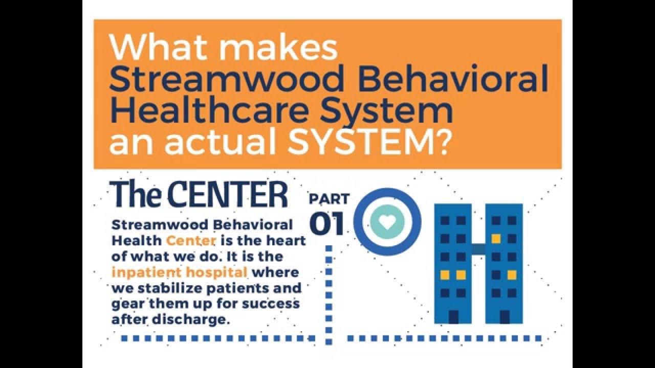 What makes Streamwood Behavioral Healthcare System, a "System?" YouTube