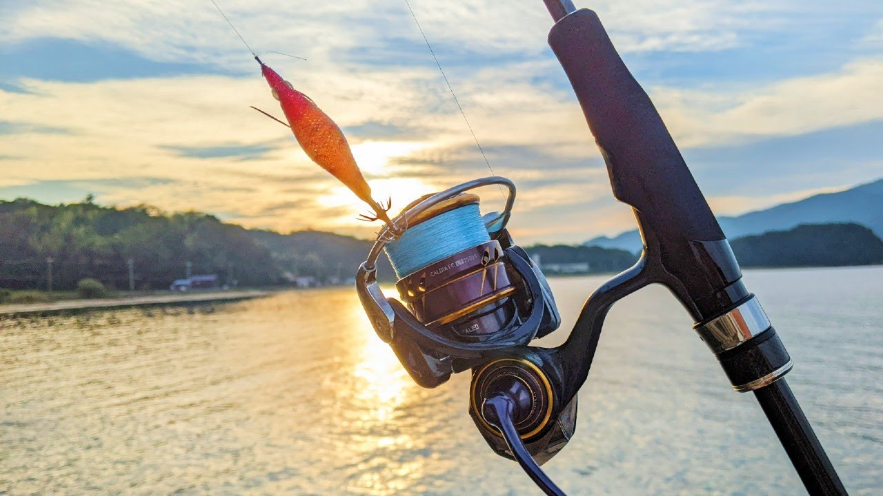 【ライトエギング】ライトタックルで狙う、秋のデカイカ。