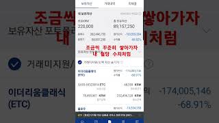 저녁 오마카세 취소금액으로 플로우물타기 feat.밑빠독 #shorts #이더리움 #이더리움클래식