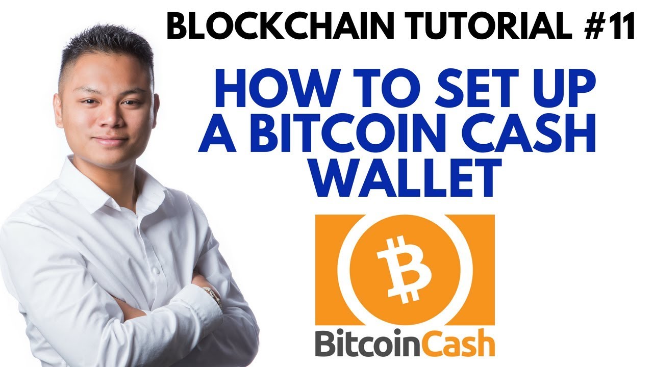 how to setup a bitcoin cash wallet